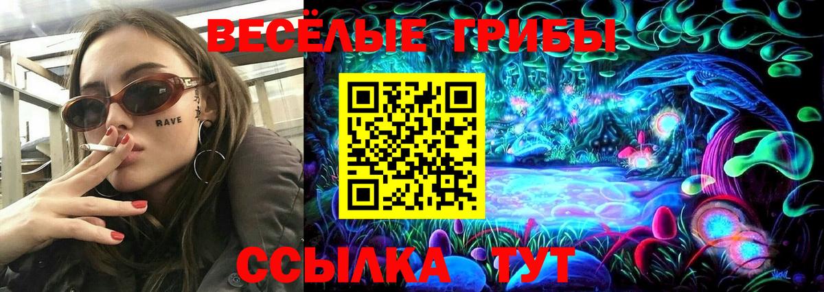 Киселёвск  Псилоцибиновые грибы GOLDEN TEACHER  Вход с VPN 